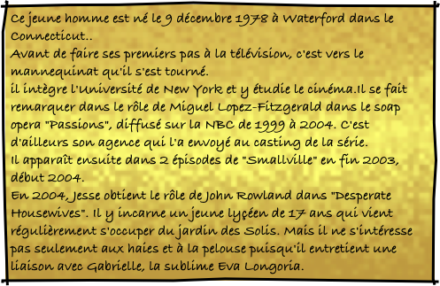 Ce jeune homme est né le 9 décembre 1978 à Waterford dans le Connecticut..  Avant de faire ses premiers pas à la télévision, c'est vers le mannequinat qu'il s'est tourné.  il intègre l'Université de New York et y étudie le cinéma.Il se fait remarquer dans le rôle de Miguel Lopez-Fitzgerald dans le soap opera "Passions", diffusé sur la NBC de 1999 à 2004. C'est d'ailleurs son agence qui l'a envoyé au casting de la série.  Il apparaît ensuite dans 2 épisodes de "Smallville" en fin 2003, début 2004.  En 2004, Jesse obtient le rôle de John Rowland dans "Desperate Housewives". Il y incarne un jeune lyçéen de 17 ans qui vient régulièrement s'occuper du jardin des Solis. Mais il ne s'intéresse pas seulement aux haies et à la pelouse puisqu'il entretient une liaison avec Gabrielle, la sublime Eva Longoria.  